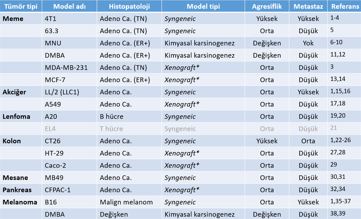 Kanser Modelleri